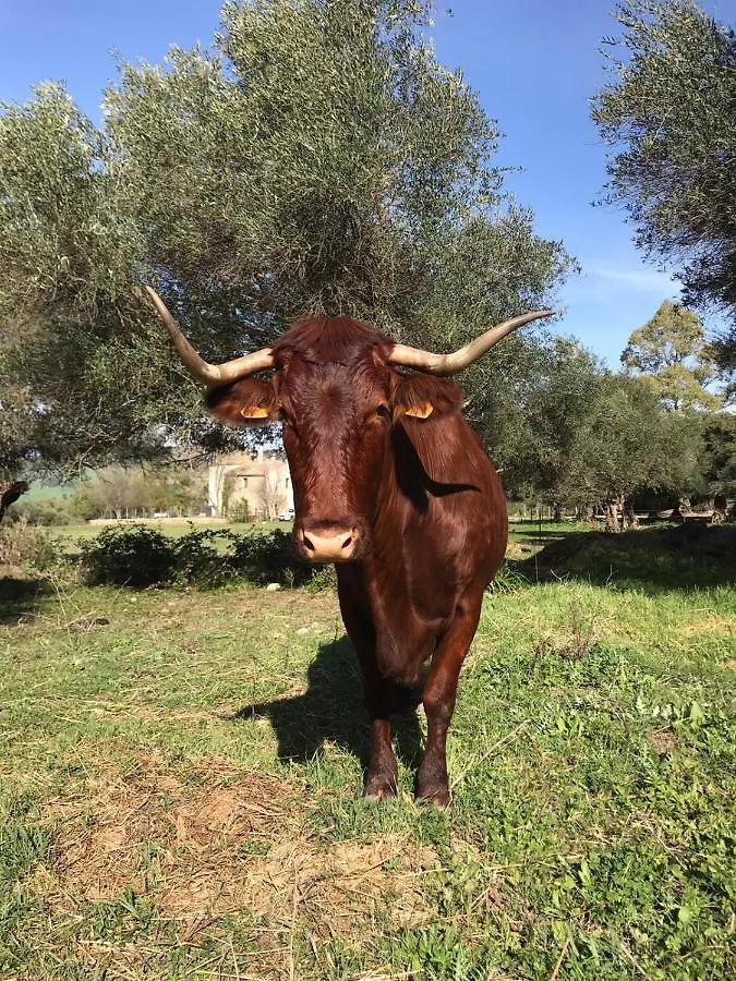 Casa Rural El Vihuelo El Bosque  3*, El Bosque (Cadiz) Španělsko