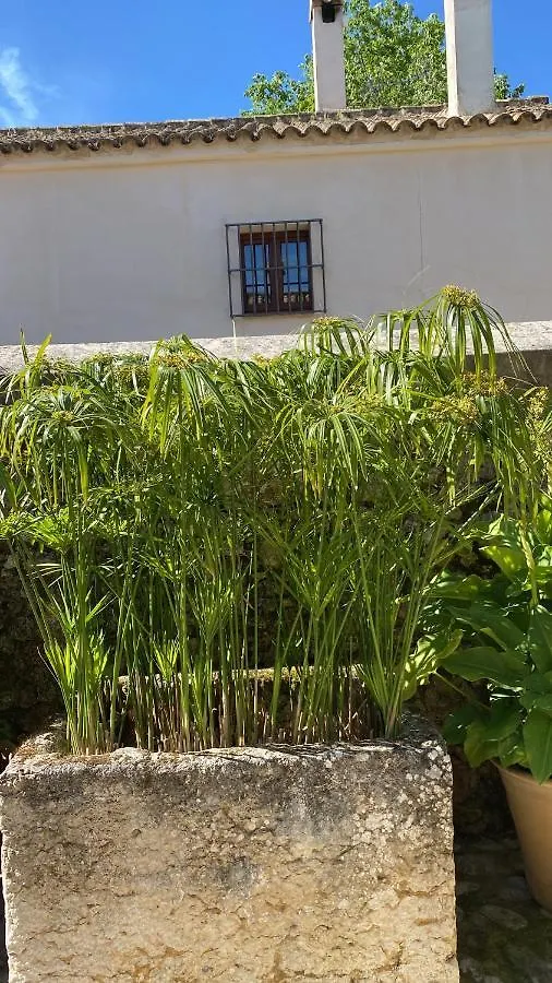 Casa Rural El Vihuelo El Bosque  El Bosque (Cadiz)