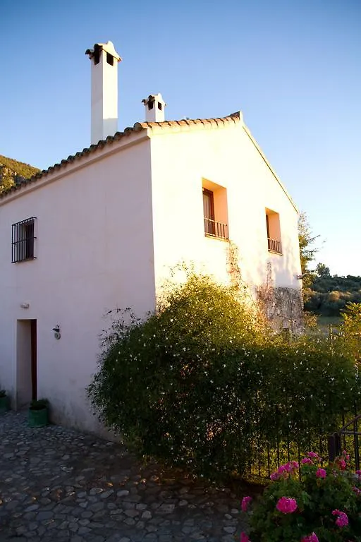 Casa Rural El Vihuelo El Bosque  Hotel El Bosque (Cadiz)